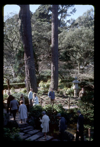 Slide521.jpg